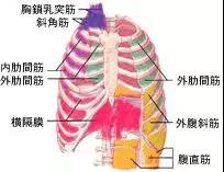 微信图片_20201225175514.jpg